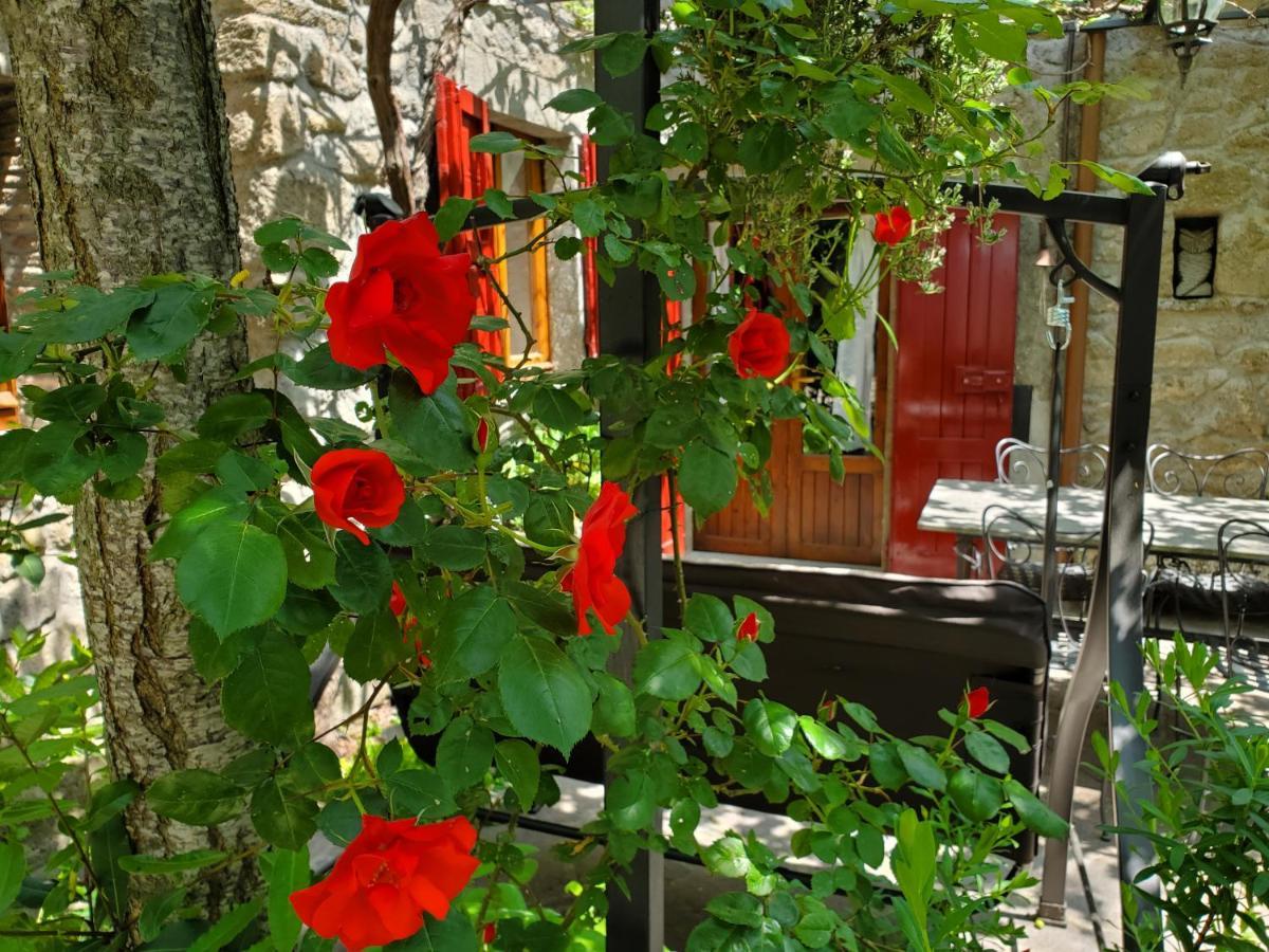 La Baronessa Country House Montefiascone Zewnętrze zdjęcie